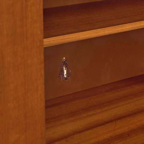 Danish bar cabinet in teak